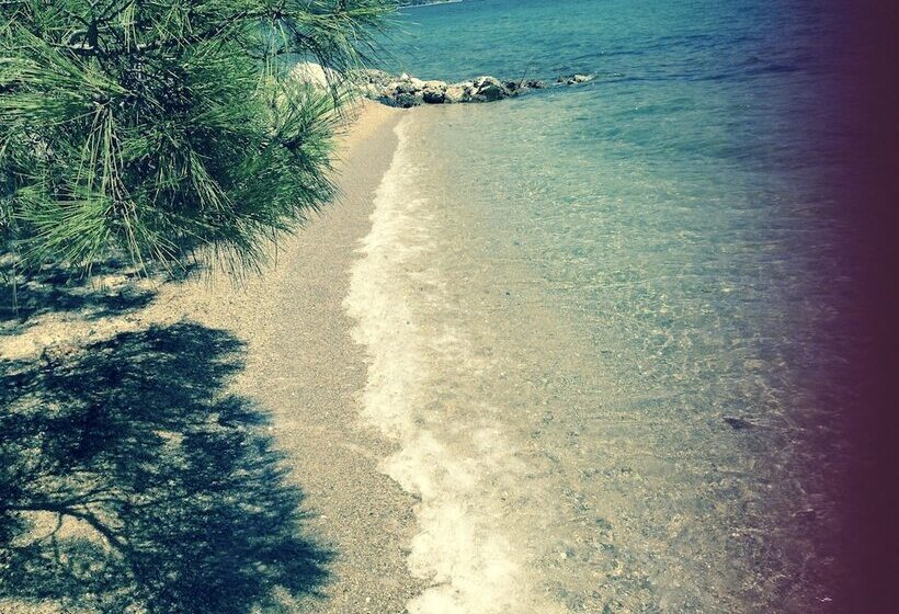 호텔 Baharin Bahce Pansiyon