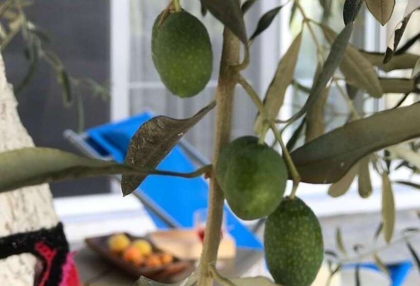 호텔 Baharin Bahce Pansiyon