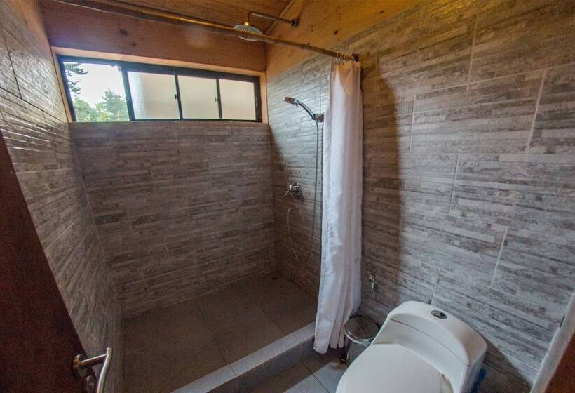 ホテル Cabañas Loica