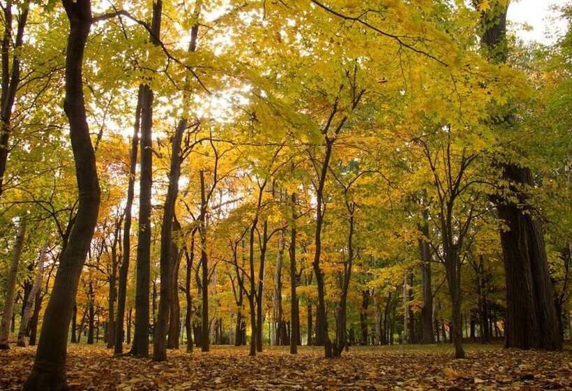 בית מלון כפרי Camping Saint Paul