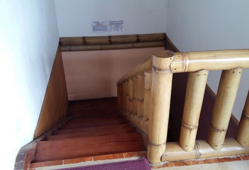 Отель Carlito's Way