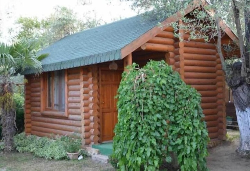 호텔 Carpe Diem Bungalow