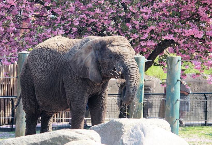 Отель City Camping Hjørring