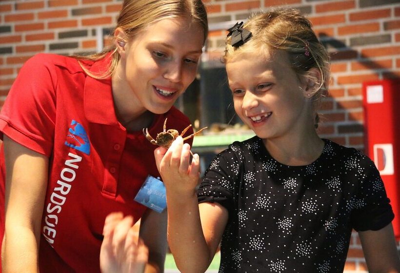 Отель City Camping Hjørring