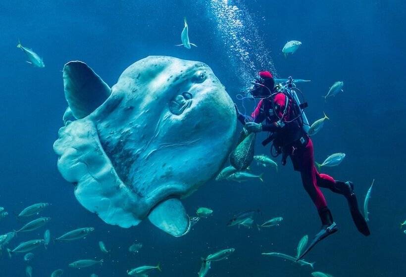 Отель City Camping Hjørring