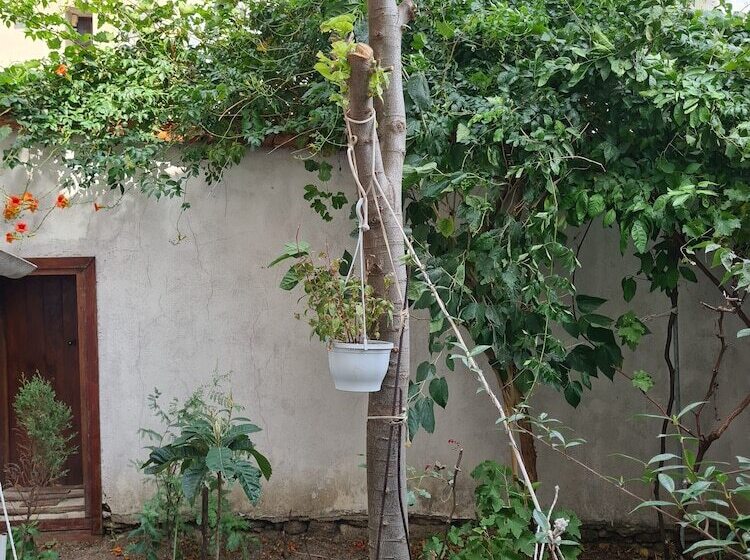 בית מלון כפרי Dardanelles1915