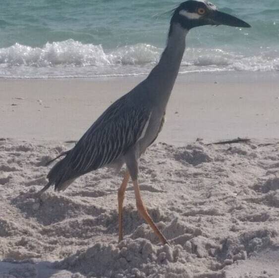 فندق Escape Resort & Marina