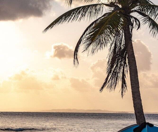 ホテル Explora San Blas