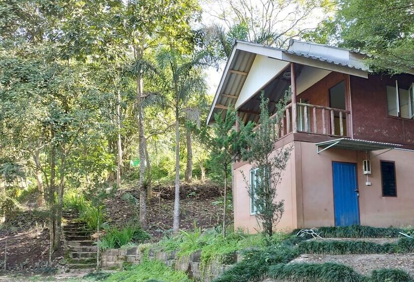 Hotel Farmstay At Pha Ma Chiangrai