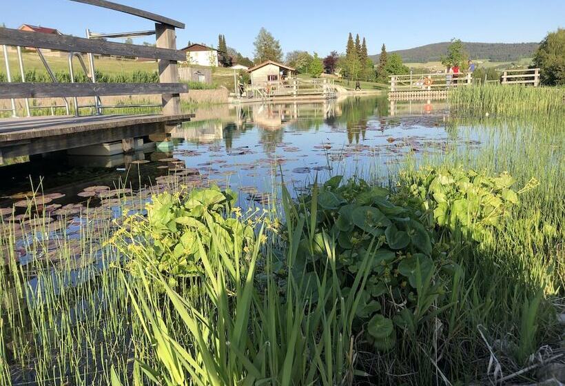 酒店 Gasthof Zum Bach