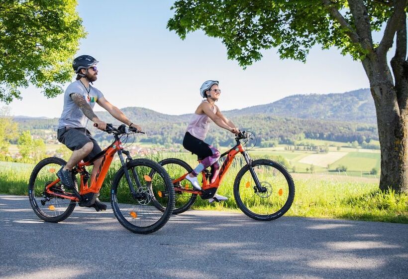 酒店 Gasthof Zum Bach