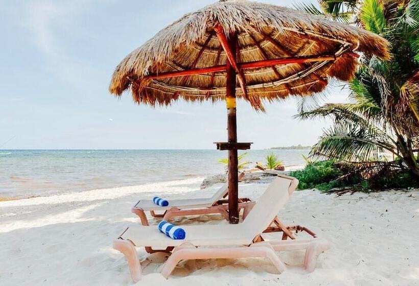 هتل Hammock Heaven