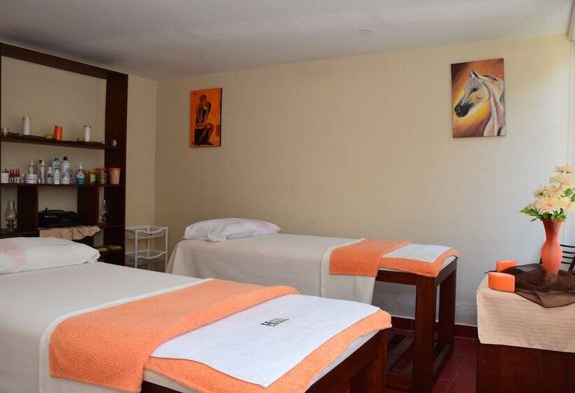 酒店 Hostal Plaza By Elvita