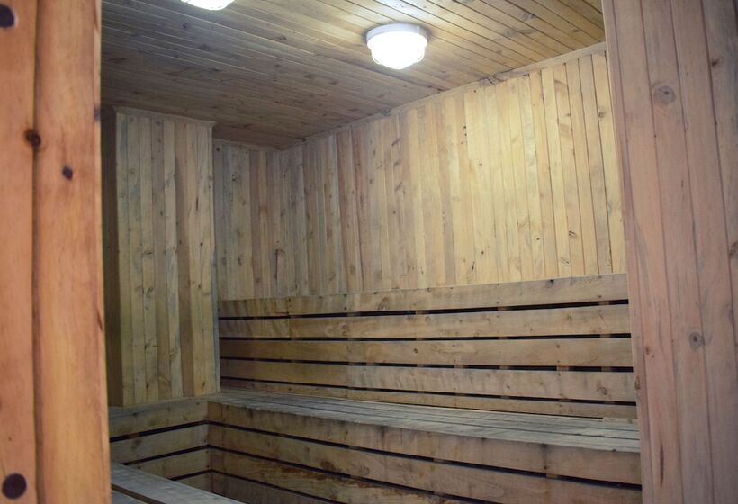 酒店 Hostal Plaza By Elvita