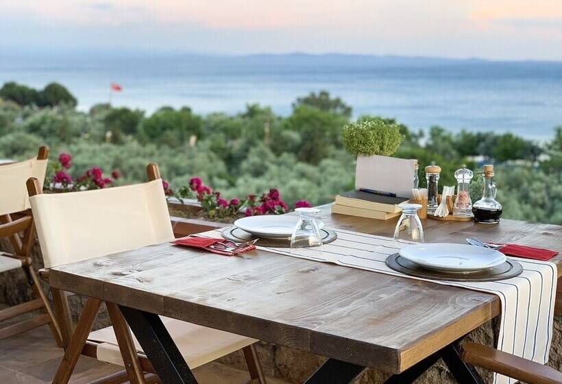 בית מלון כפרי Ida House Assos