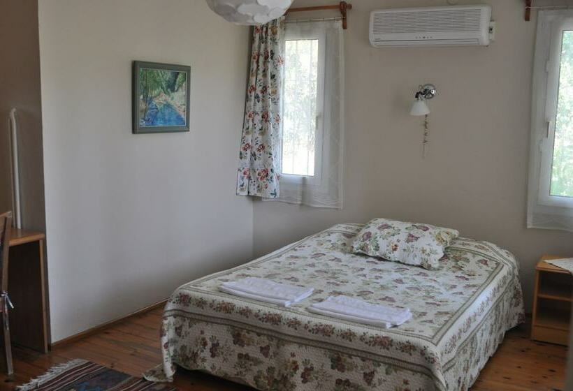 Отель Idakoy Ciftlik Evi