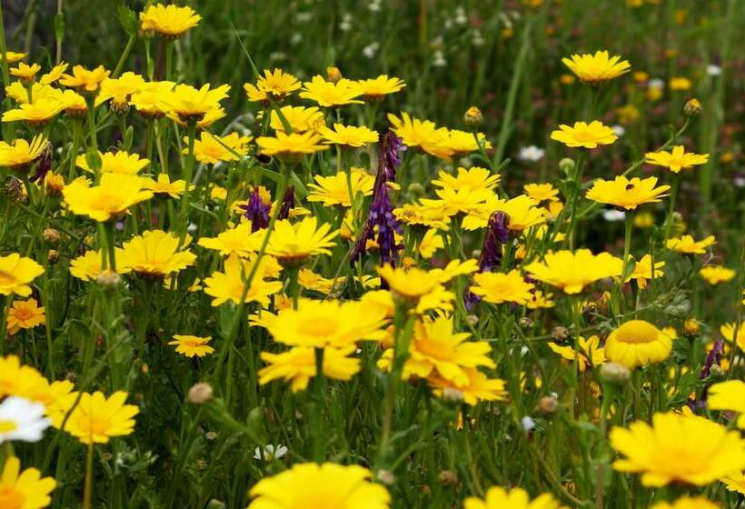 Отель Idakoy Ciftlik Evi