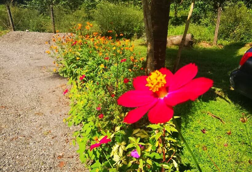 酒店 La Palmera Real