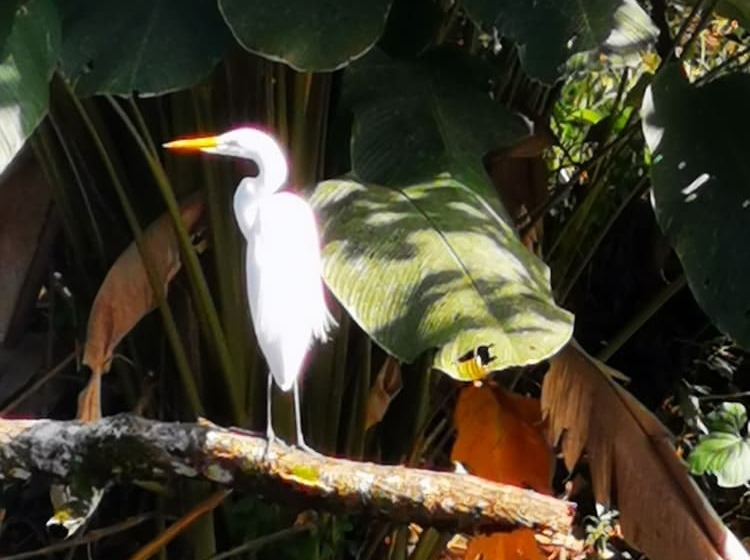 酒店 La Palmera Real