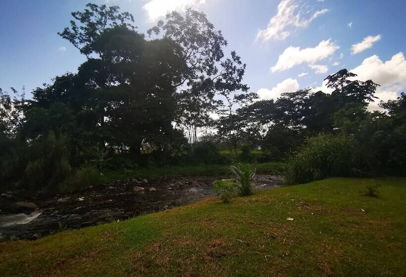 酒店 La Palmera Real