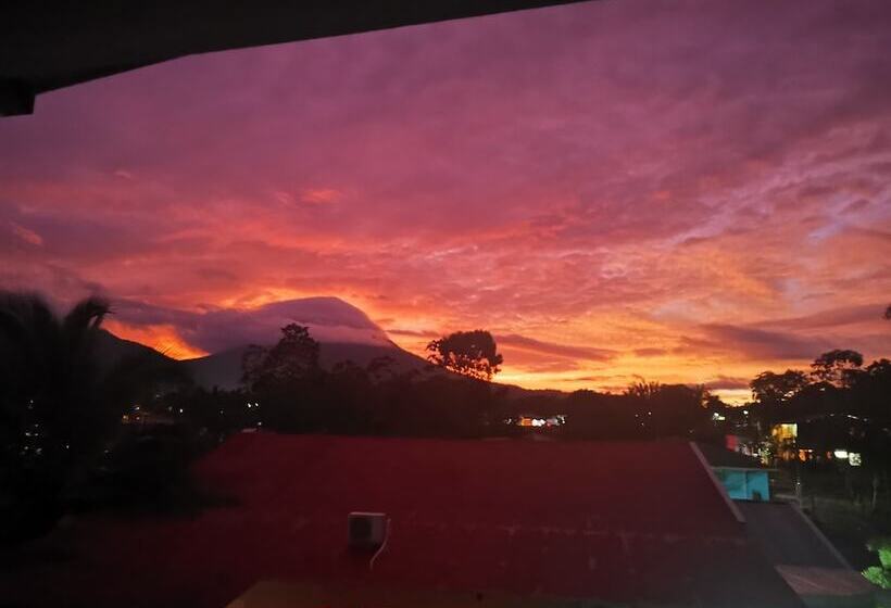 酒店 La Palmera Real