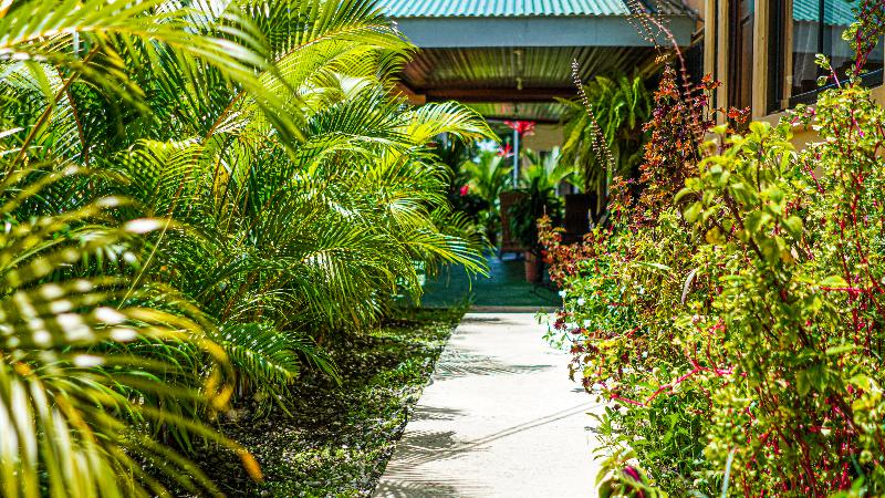 酒店 La Palmera Real