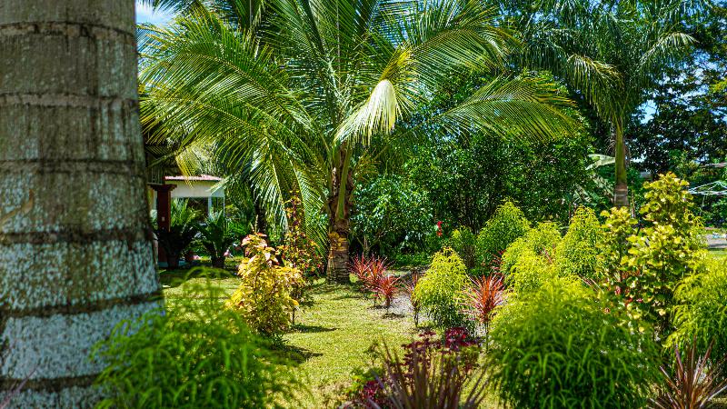 酒店 La Palmera Real