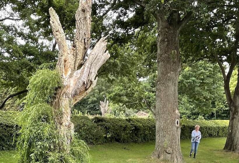 Отель Møllehuset