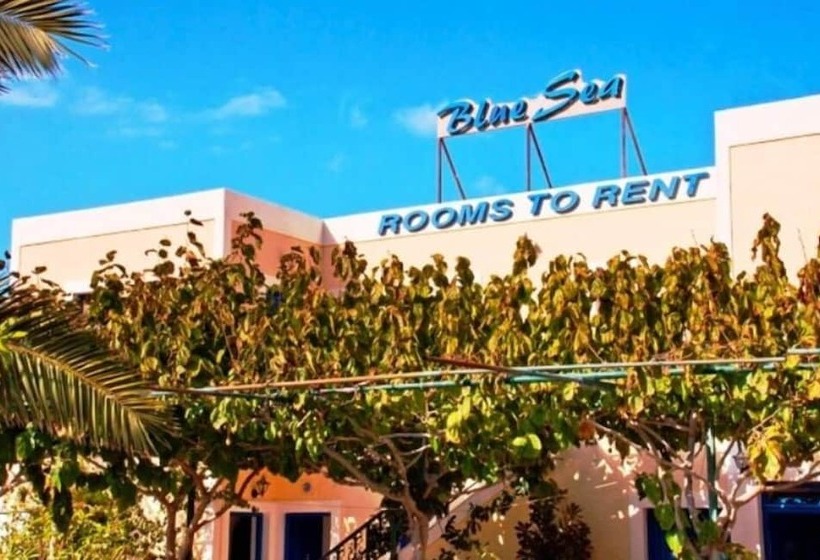 فندق Blue Sea