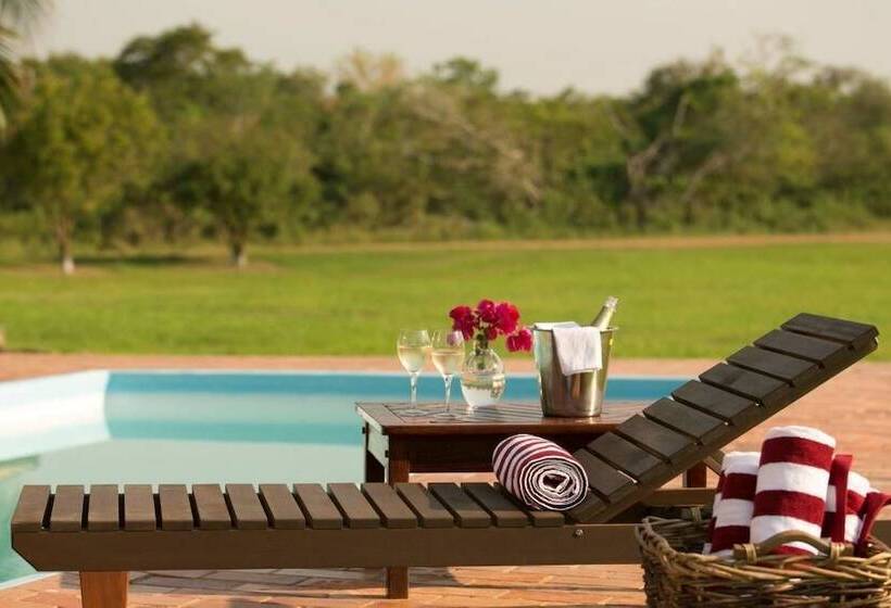 호텔 Morro Do Azeite Ecolodge