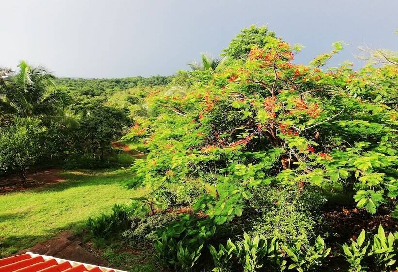 ホテル Punta Duarte Garden Inn