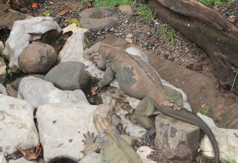 בית מלון כפרי Rancho Turístico Doña Callita