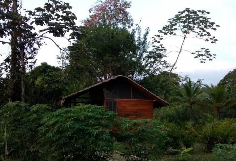 فندق Rio Mar Bahía Solano Choco Colombia