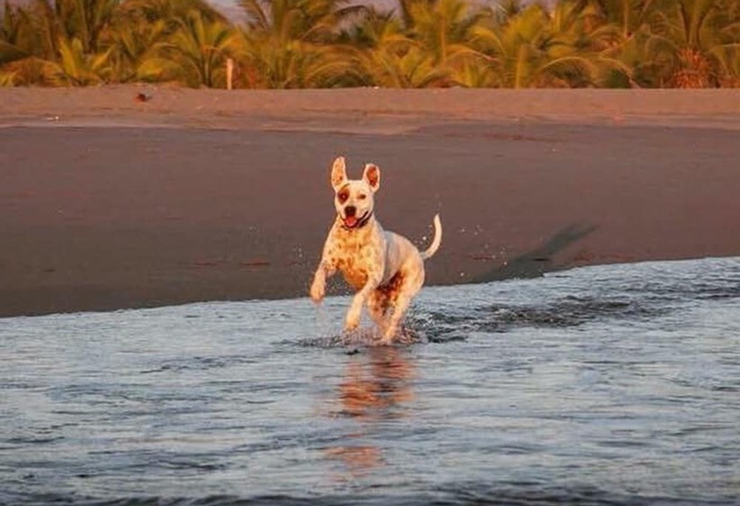 ホテル Tachinaste