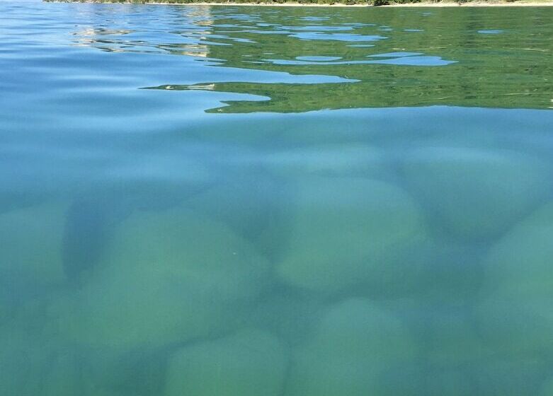 Отель Whaleback Inn