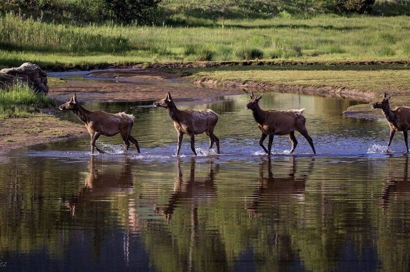 Murphy S Riverside Ev #3178 2 Bedroom Cottage By Redawning