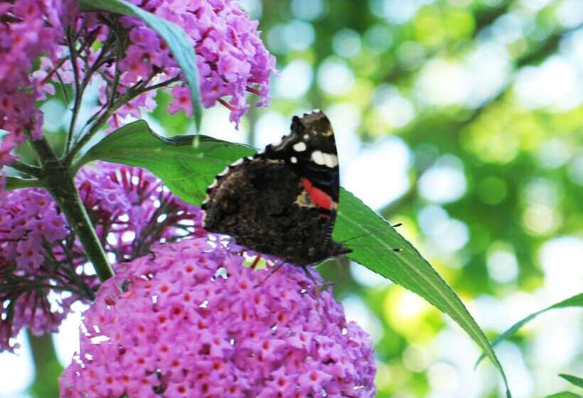 Nösundsgården Hotel & Hostel