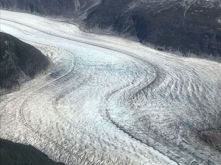 Пансион At The White House
