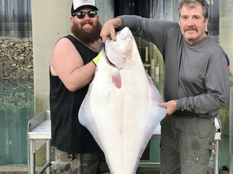 Пансион At The White House