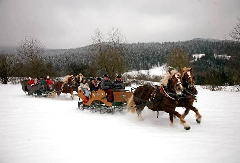 Пансион Bayerische Gastwirtschaft Dimpfl Stadl
