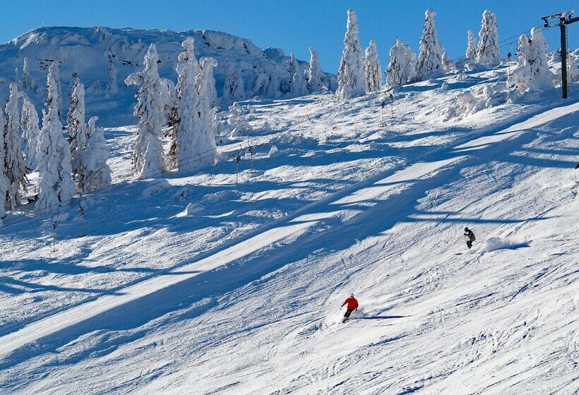 Пансион Bayerische Gastwirtschaft Dimpfl Stadl
