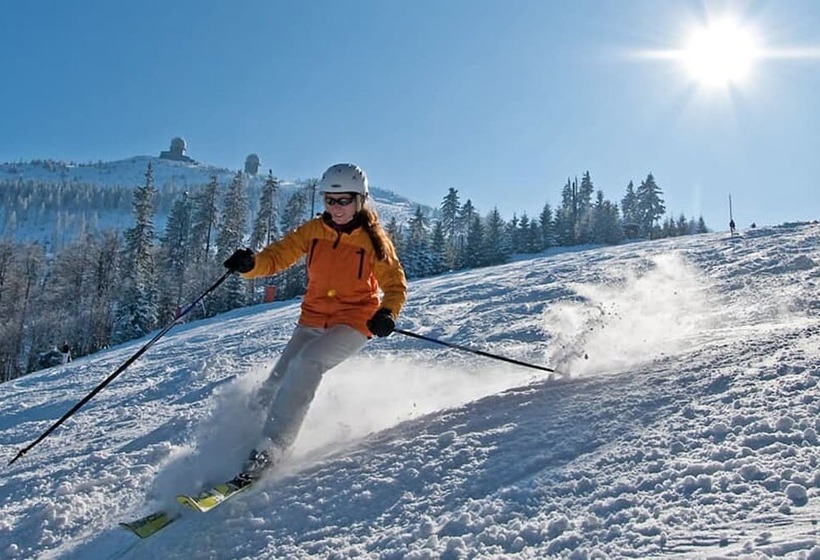 Пансион Bayerische Gastwirtschaft Dimpfl Stadl