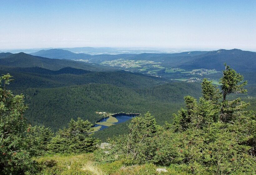 Пансион Bayerische Gastwirtschaft Dimpfl Stadl