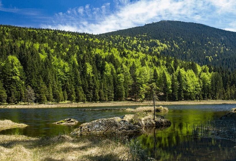 Пансион Bayerische Gastwirtschaft Dimpfl Stadl