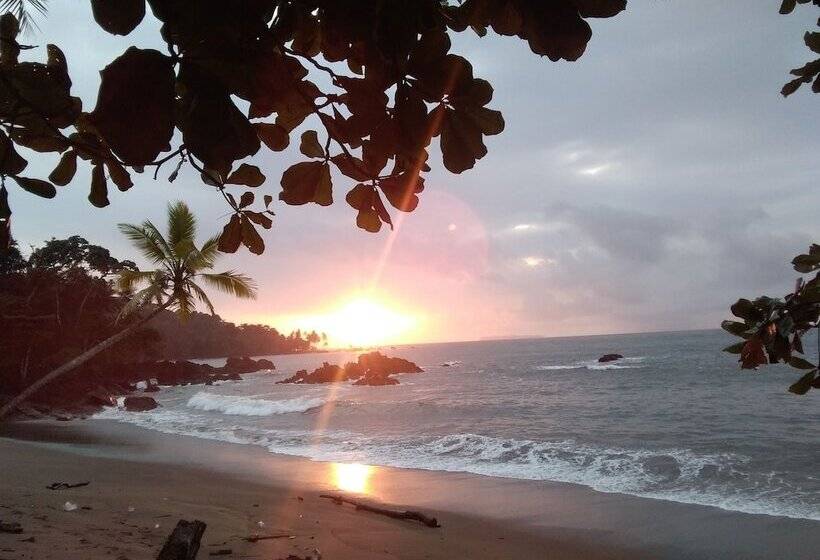 پانسیون Cabinasyafethosa Caletas