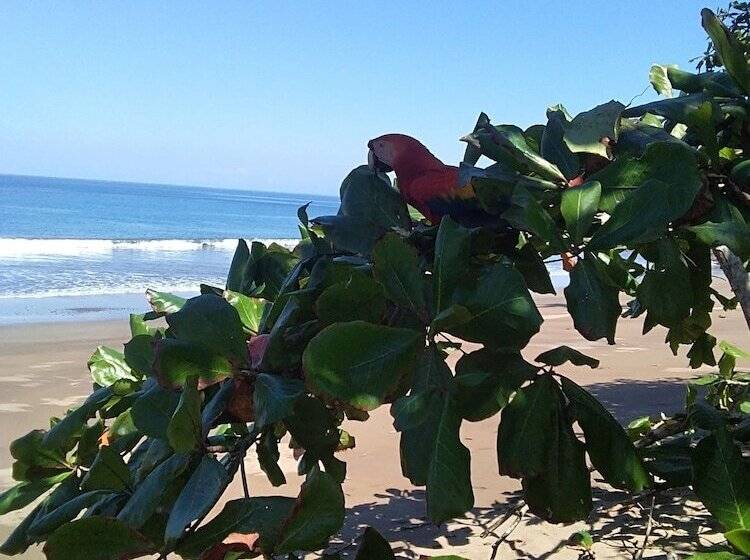 پانسیون Cabinasyafethosa Caletas