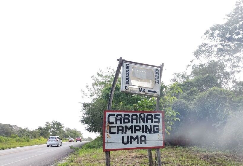 پانسیون Casados Ranch