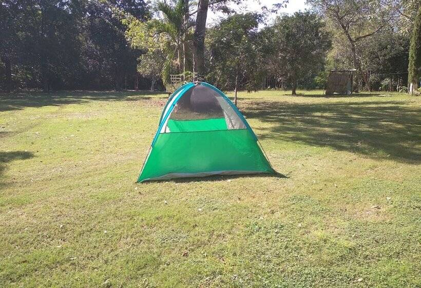 پانسیون Casados Ranch