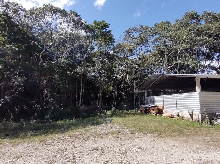 پانسیون Casados Ranch