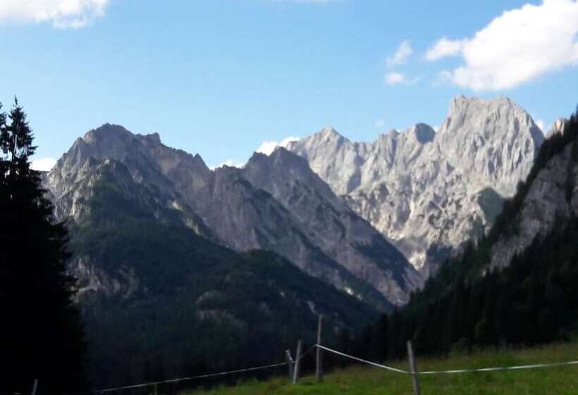 펜션 Ferienwohnungen Gästehaus Lärcheck